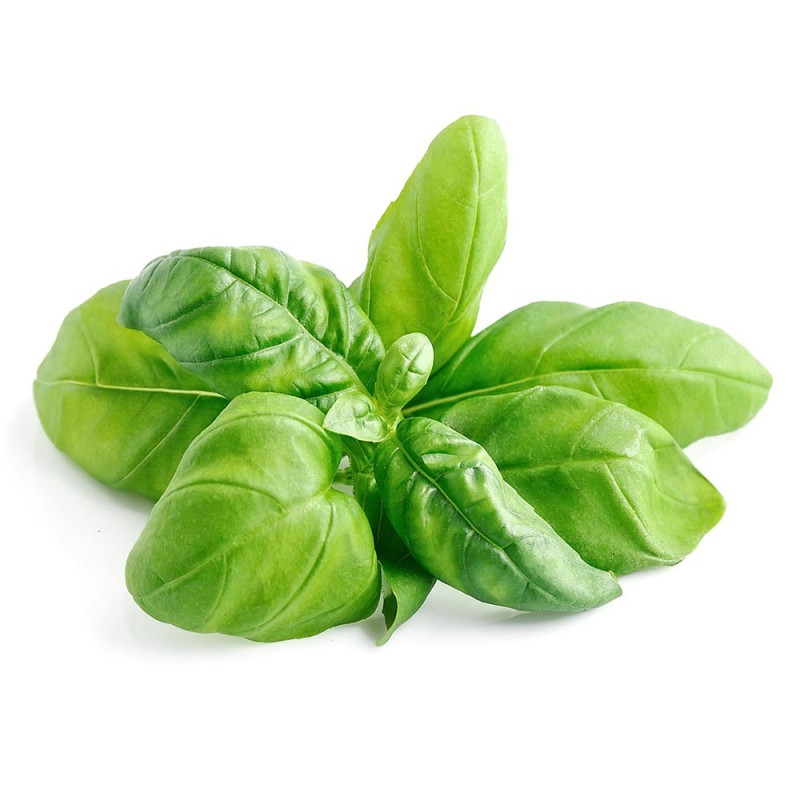 ALFABREGA EN FULLA ECO (GRANEL)