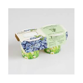 IOGURT NABIUS 2X125 g NTL