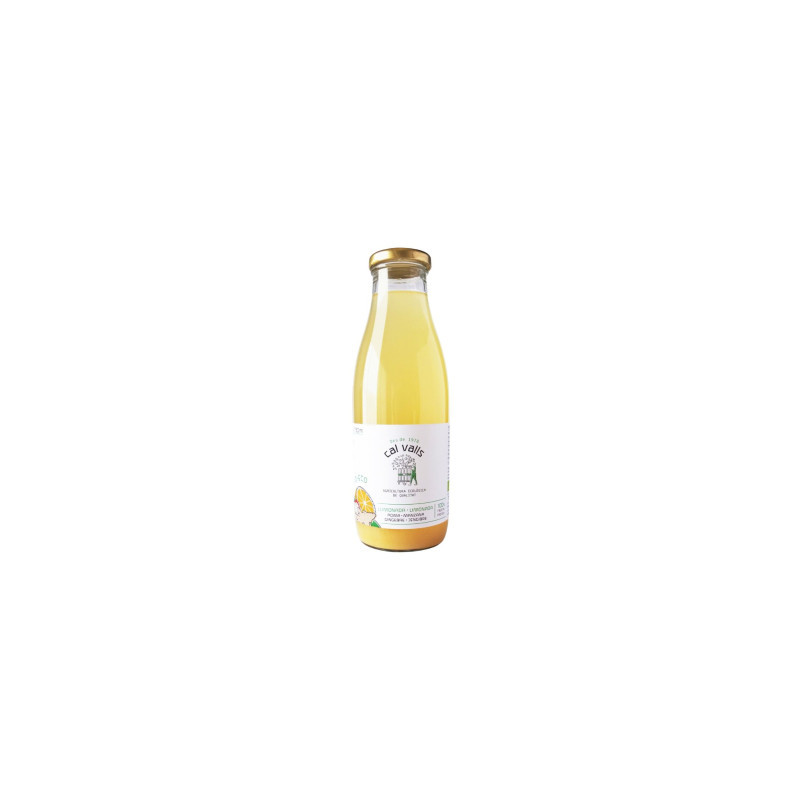 SUC LLIMONADA AMB POMA I GINGEBRE  ECO 750ML- S/sucres afegits