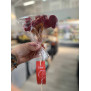 Galeta Rosa de Sant Jordi Xoco amb Maduixa