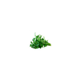 Julivert Manat