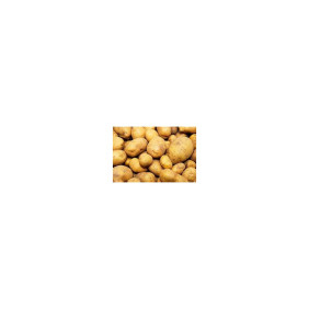 PATATA KENNEBECK
