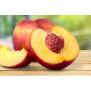 Nectarina