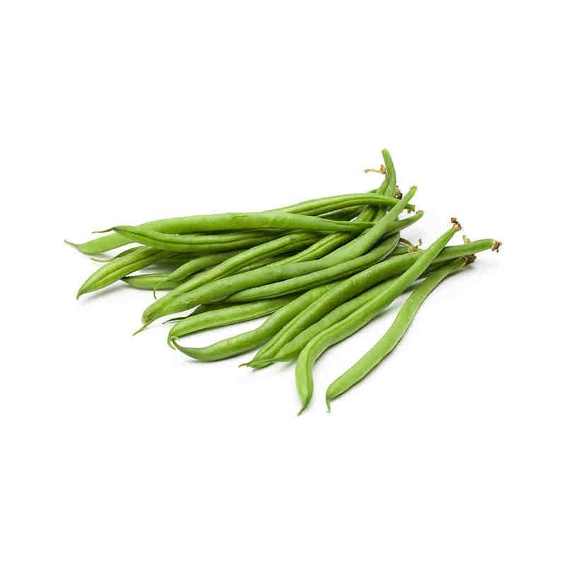 MONGETA VERDA RODONA ECO KG