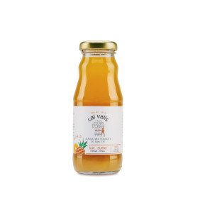 SUC PINYA ECO 200ML