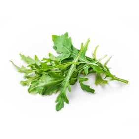 Ruca Selvatica ECO bossa