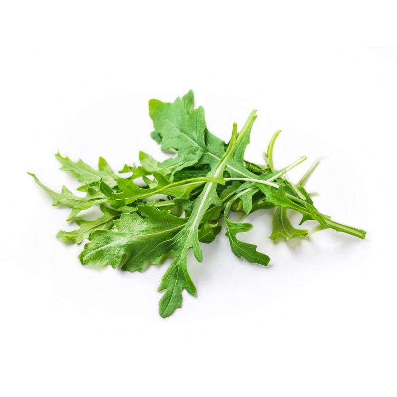 Ruca Selvatica ECO bossa