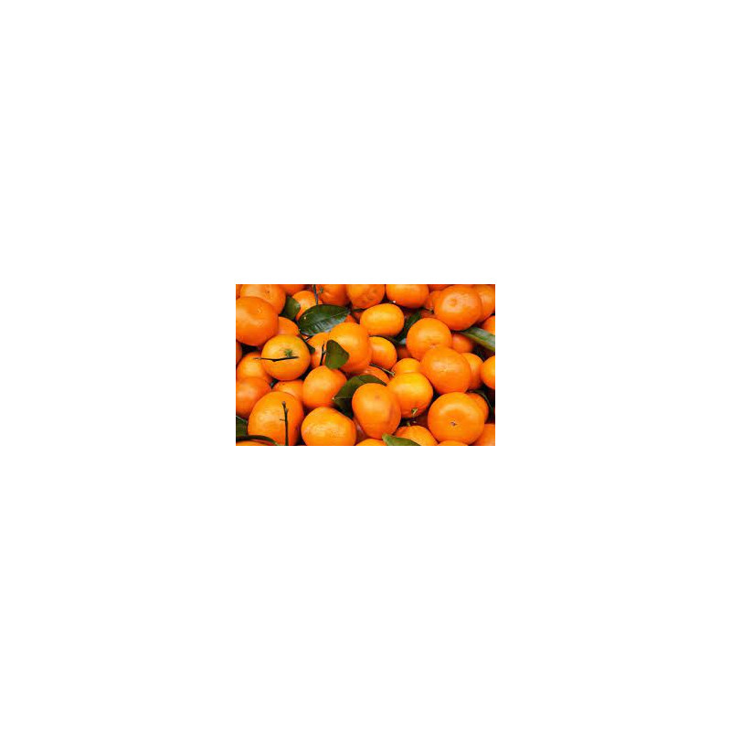 MANDARINA  (La Safor)