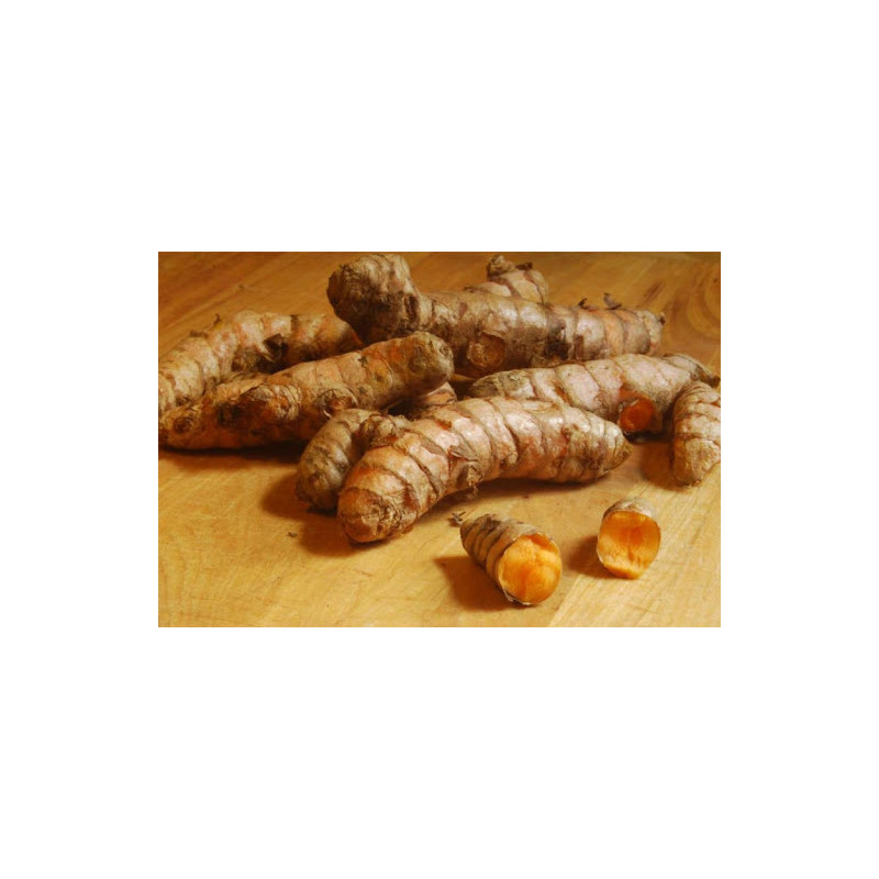 Cúrcuma Fresca