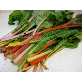 BLEDES COLORS unitat