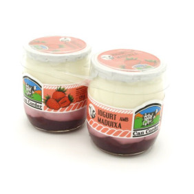 IOGURT AMB MADUIXA 2x125 GR CC