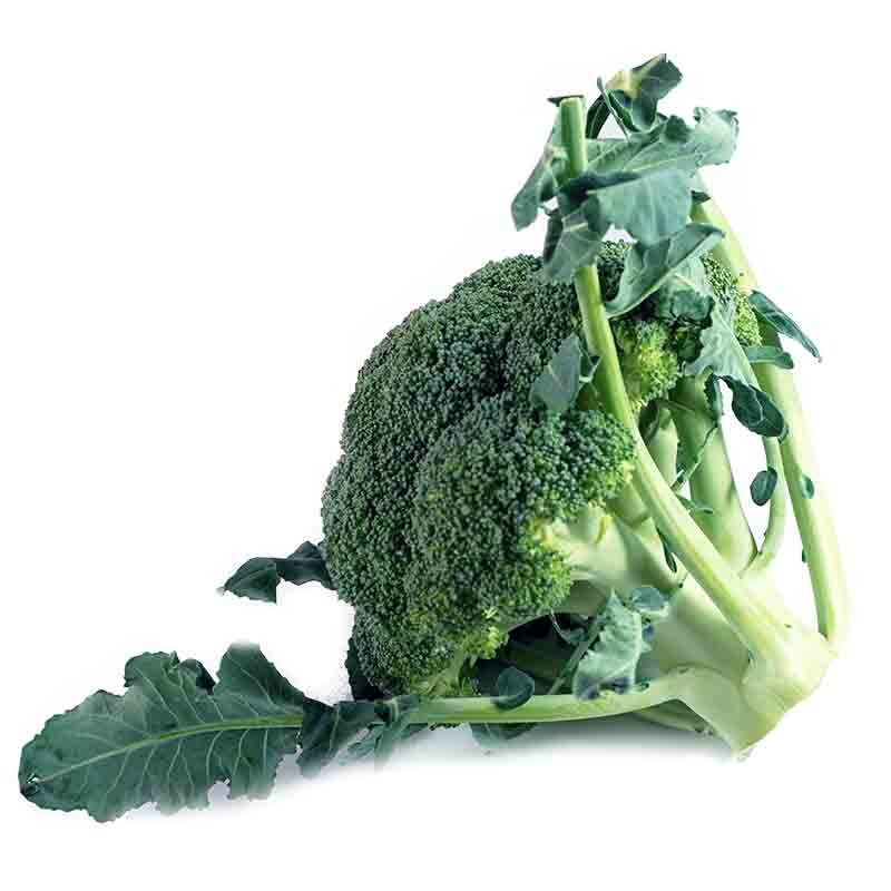 Brocoli