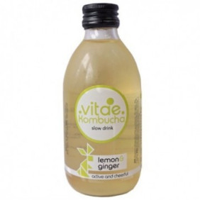 Kombucha Llimona Gingebre...