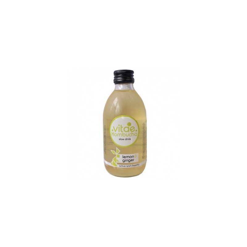 Kombucha Llimona Gingebre 250ml