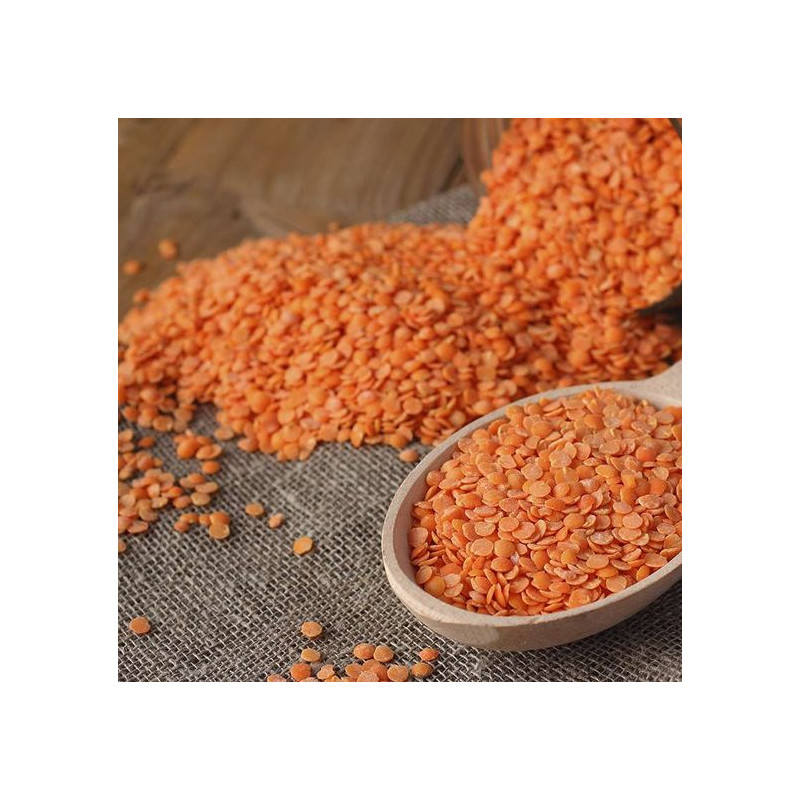 LLENTIES VERMELLES MEITATS ECO